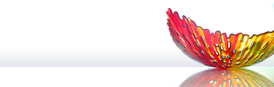 nivo slider image